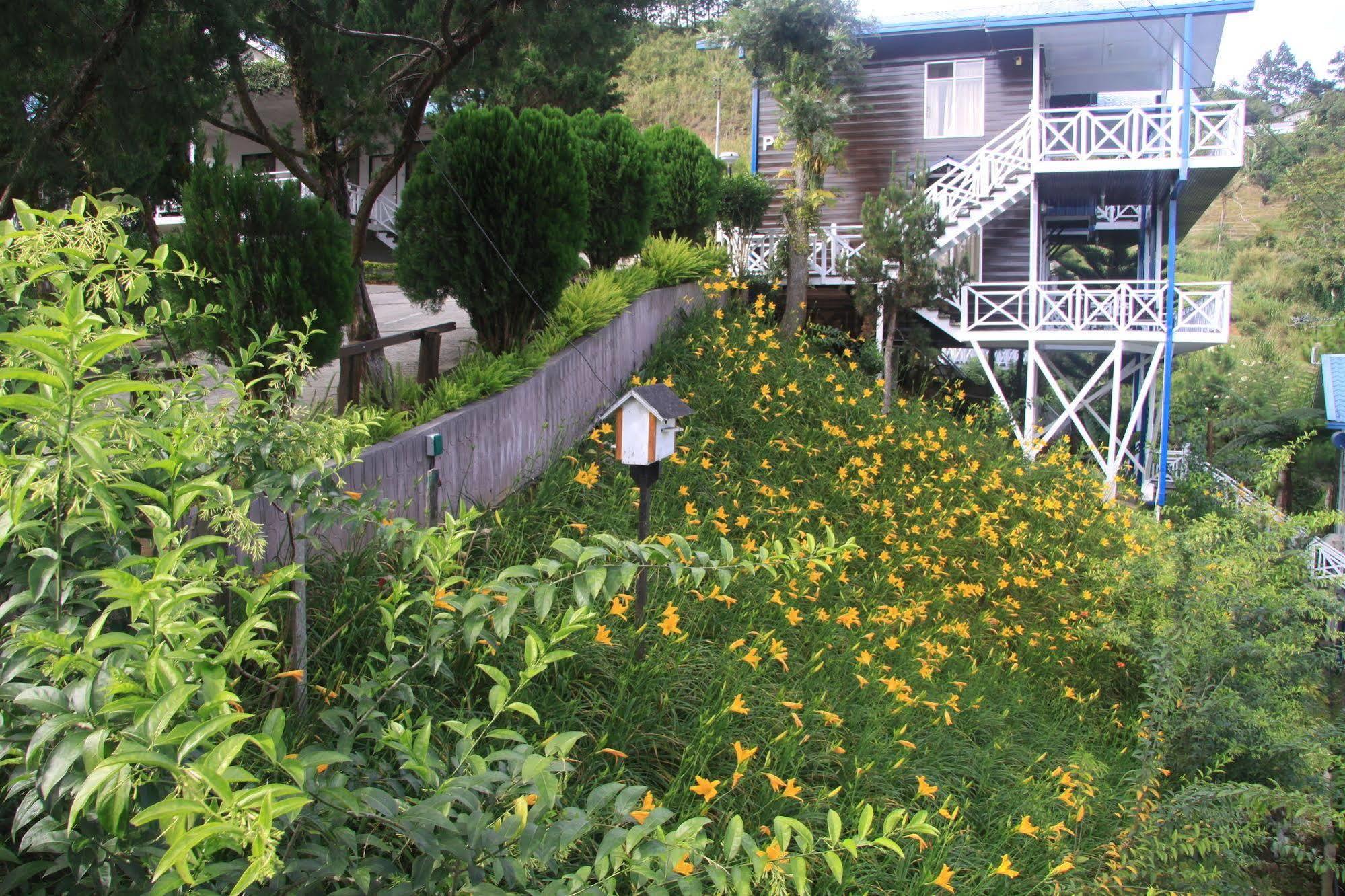 Kinabalu Pine Resort Kampong Kundassan Dış mekan fotoğraf